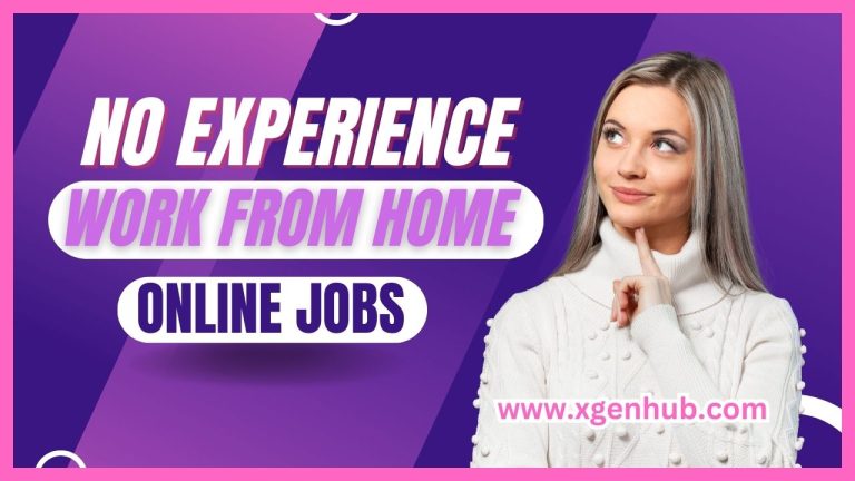 Work from Home Online Jobs No Experience