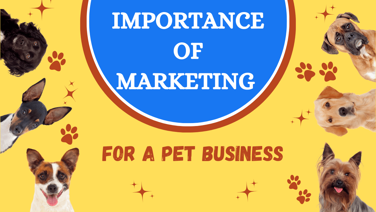 Pet Marketing: 20 Practical Strategies to Grow Pet Business 2023