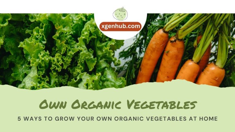 5 Ways to Grow Your Own Organic Vegetables at Home