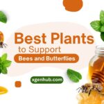 Best Plants to Support Bees and Butterflies