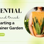 Essential Tips for Starting a Container Garden