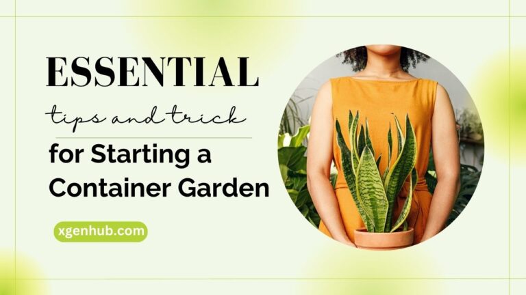 Essential Tips for Starting a Container Garden