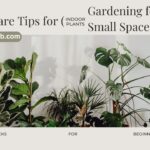 The Ultimate Guide to Vertical Gardening for Small Spaces